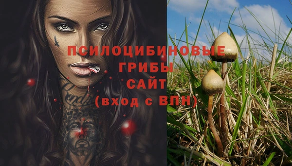 ALPHA PVP Алексеевка